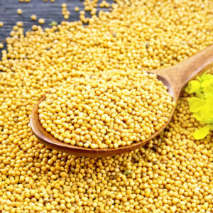 Mostaza en Grano