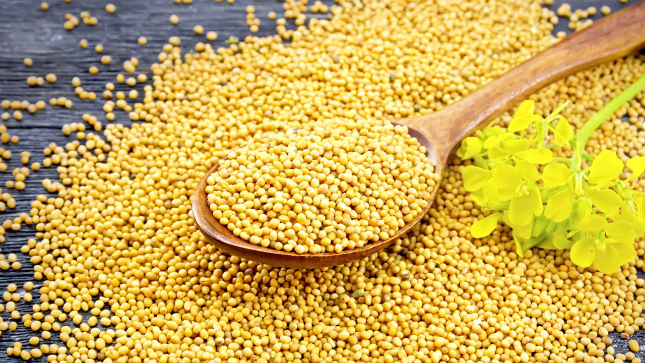 Mostaza en Grano