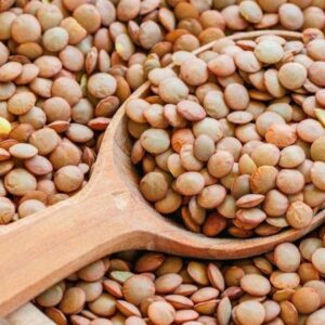 Lentejón Canadiense