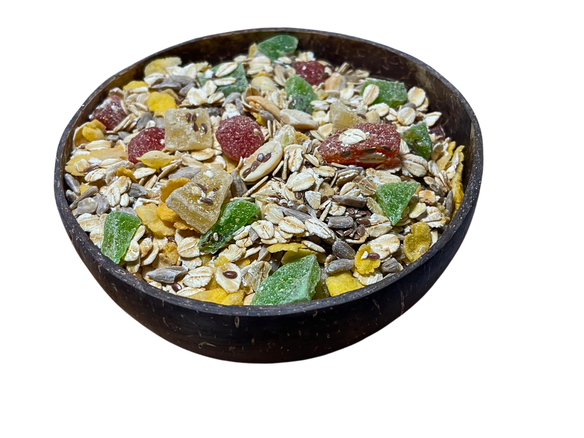Granola Natural Tropical