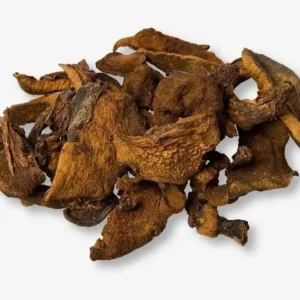 Hongo Seco Boletus Luteus