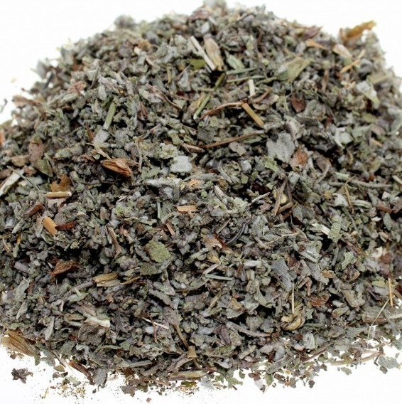 Salvia