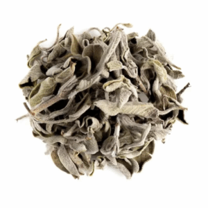 Salvia - Imagen 2