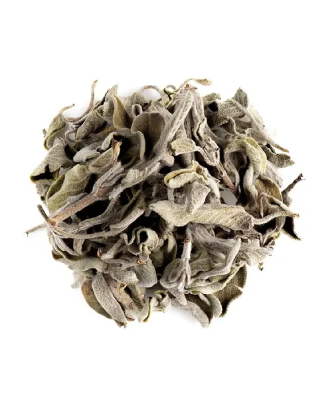 Salvia - Imagen 2